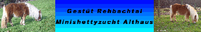 Bildname