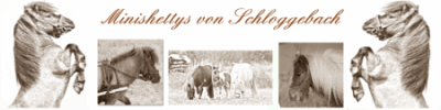 Bildname