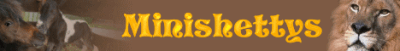 Bildname